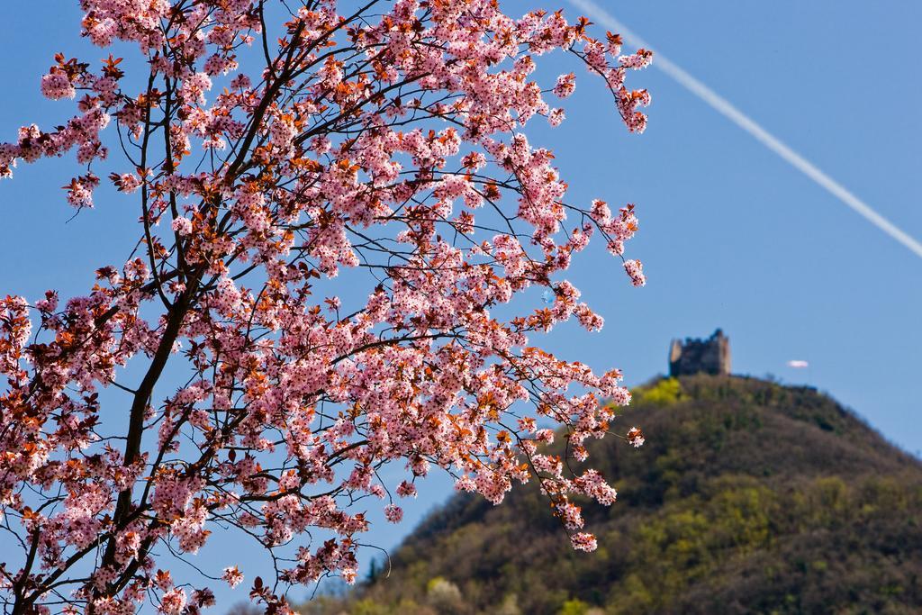 Seegarten カルダーロ エクステリア 写真